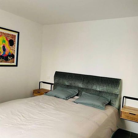 شقة Toulouse Centre 4 Couchages المظهر الخارجي الصورة